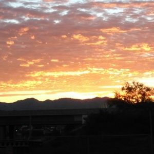 Meet your Posher, Elzie